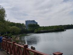 -丁香湖公园