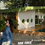 佛山新店｜🐶MR TREE🌳大树先生🪵