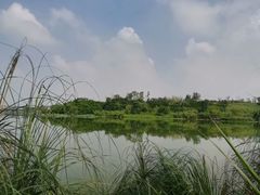 -白鹭湾湿地公园