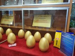 -瑞德口腔医院(白云旗舰院)