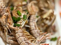 -金海湾海鲜排档(朱家尖店)