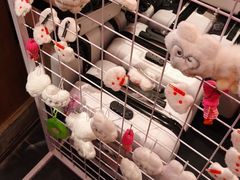 -小吊梨汤·北京菜·烤鸭(清河万象汇店)