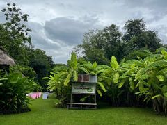 -大象粑粑造纸公园