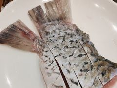-正能量脆肉鲩火锅