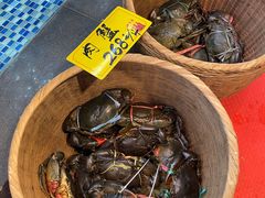 -顺德了能馆(虎门店)