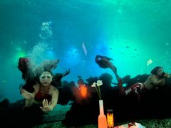 -海棠湾洲际-涛·海底餐厅·美人鱼·自助餐·海底隧道