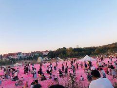 -大塘金香草谷