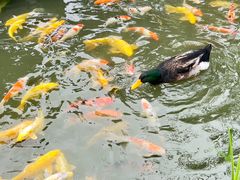 -扬州瘦西湖温泉