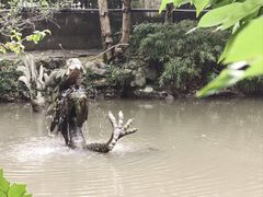 -汇龙潭