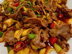 -周记翘脚牛肉