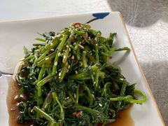 凉拌野菜-青城甲(青城山店)