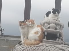 -慕田峪长城