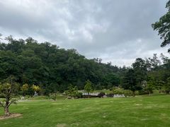 -深圳仙湖植物园