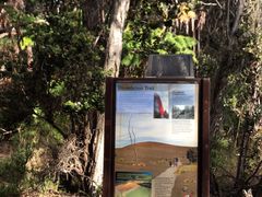 -夏威夷火山国家公园