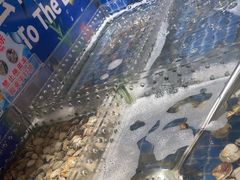 -亚马逊海鲜自助(梅溪湖步步高店)