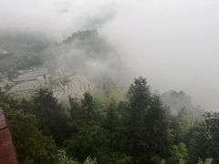 -紫鹊界梯田景区