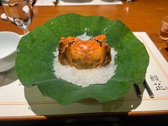 -觀芷隐轩