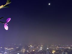 -广州柏悦酒店·悦吧·顶楼露天酒吧