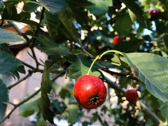 -中粮万科长阳半岛