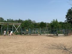 -北京麋鹿生态实验中心