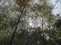 -南山风景名胜区