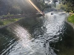 -晓港公园