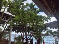 -GO! Nha Trang