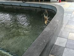 -光头佬室内钓虾场·烧烤·团建·亲子(中山八路店)