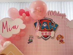 -团子宝宝宴派对百日宴生日布置策划·求婚策划·气球布置别墅民宿