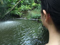 -绿光森林餐厅