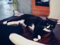 -么么咖啡(燕郊店)