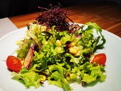 沙拉-森味薪火烧•烧鸟居酒屋•日本料理(望京店)