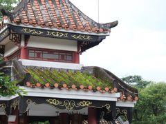 -顺峰山公园