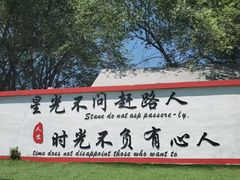 -亲兄弟真人CS团建拓展基地