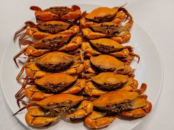 -宝亨达国际大酒店·宴会厅