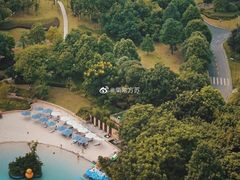 -成都保利公园皇冠假日酒店(熊猫基地店)