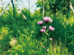 -长沙园林生态园