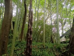 -宋宴(虎跑店)