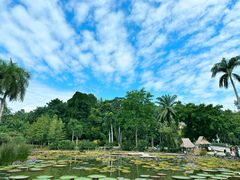 -中国科学院西双版纳热带植物园