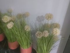 -唐宫足道·SPA·住宿24H会所(木渎店)