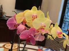 -山水茶艺馆·点心粤菜·30年老字号