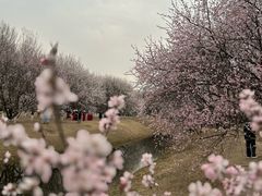 -万通商城
