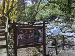 -石台牯牛降景区