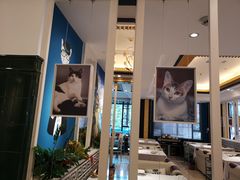 -猫先生时尚火锅(桂平路店)