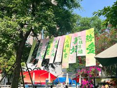 -铁像寺水街
