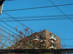 点击看大图 -米诺娃妇女儿童医院·三级妇儿医院