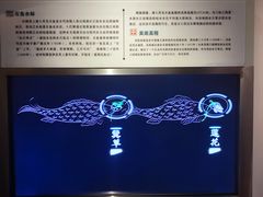 -白鹤梁水下博物馆