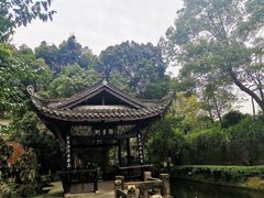 -桂湖森林公园
