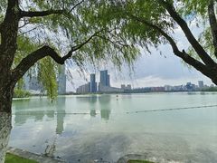 -天鹅湖体育公园