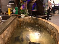 -井水小厨·湘菜(活力广场店)
